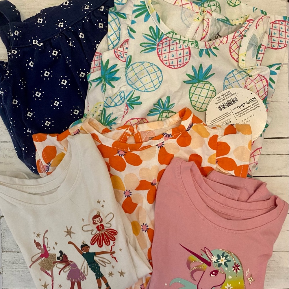 Baby girl 24 months Bundle